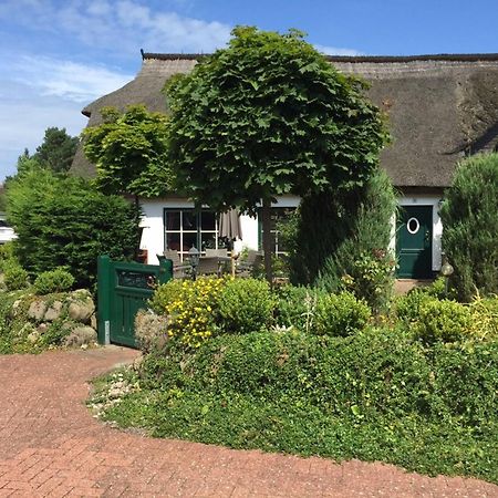 Birkenstrasse 10 Fischerhus Zingst Luaran gambar